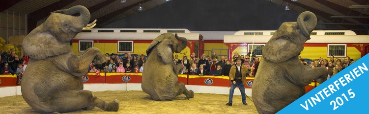 cirkusland